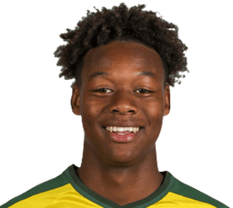 Tijani Noslin