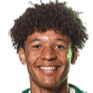 Thiago Santos