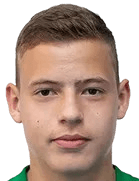 Krapivtsev, Vladislav