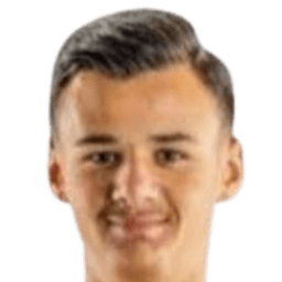 Krim Aladjebegovic