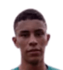 Rojas
