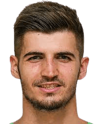 Nikola Vasili