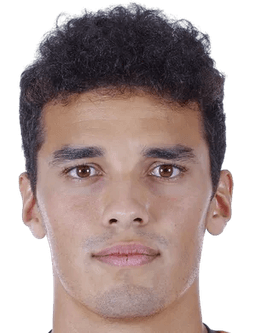 Theo Gintero León