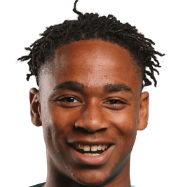 Joshua Oluwemi