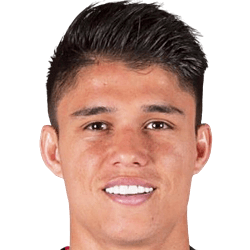 Luis Araujo