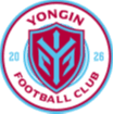 龙仁FC