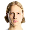 Heatonen