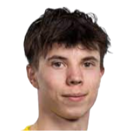 Moiseu