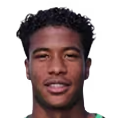 Ryan·Flamengo