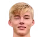 Nick Vischulen