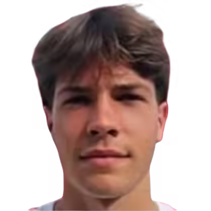 Bassanini
