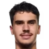 Van Persie