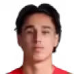 Nicolás Kral