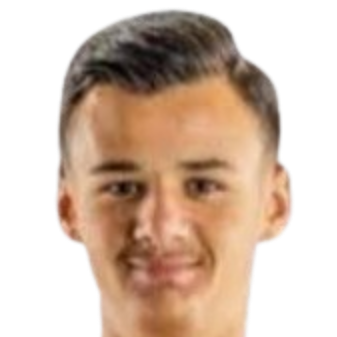 Alajbegovic