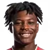 Ngonzo