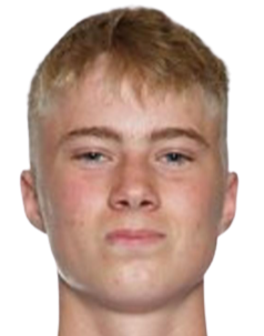 D. Gudjohnsen