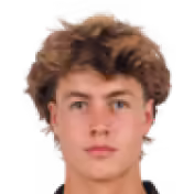 Merijn van der Wiel