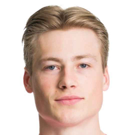 Sander