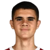 Nedeljkovic