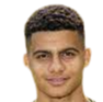 Tavsan